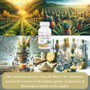 quercetin-plus-quercetin-1-000mg-bromela-5.jpg
