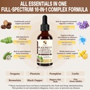 wormwood-black-walnut-cleanse-for-humans-2.jpg
