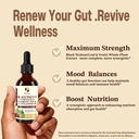 wormwood-black-walnut-cleanse-for-humans-4.jpg