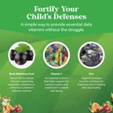 sambucus-elderberry-gummies-for-kids-hea-5.jpg