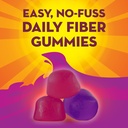 metamucil-kids-fiber-gummies-no-sugar-ad-6.jpg