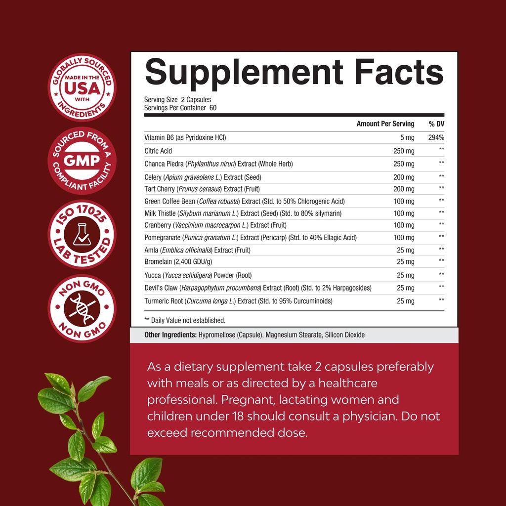 green-coffee-bean-extract-for-uric-acid--3.jpg
