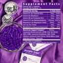 purple-tree-post-celebration-wellness-bo-5.jpg