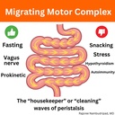 motility-activator-by-dr-rajsree-md-dige-3.jpg