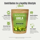 herbsforever-amla-powder-phyllanthus-emb-6.jpg