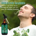 mullein-drops-for-lungs-2-fl-oz-natural--2.jpg