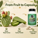 nopal-cactus-capsules-freeze-dried-prick-4.jpg