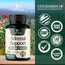 nature-s-nutrition-adrenal-support-suppl-4.jpg