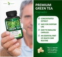 potent-garden-green-tea-extract-with-egc-4.jpg
