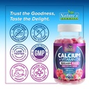 calcium-supplement-gummies-sugar-free-ca-4.jpg