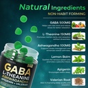 gaba-gummies-500mg-sugar-free-calm-gummi-3.jpg