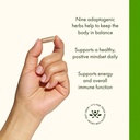 swanson-rhodiola-ashwagandha-ginseng-com-4.jpg