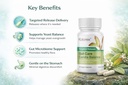 kolorex-advanced-candida-care-targeted-r-2.jpg