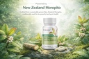 kolorex-advanced-candida-care-targeted-r-3.jpg