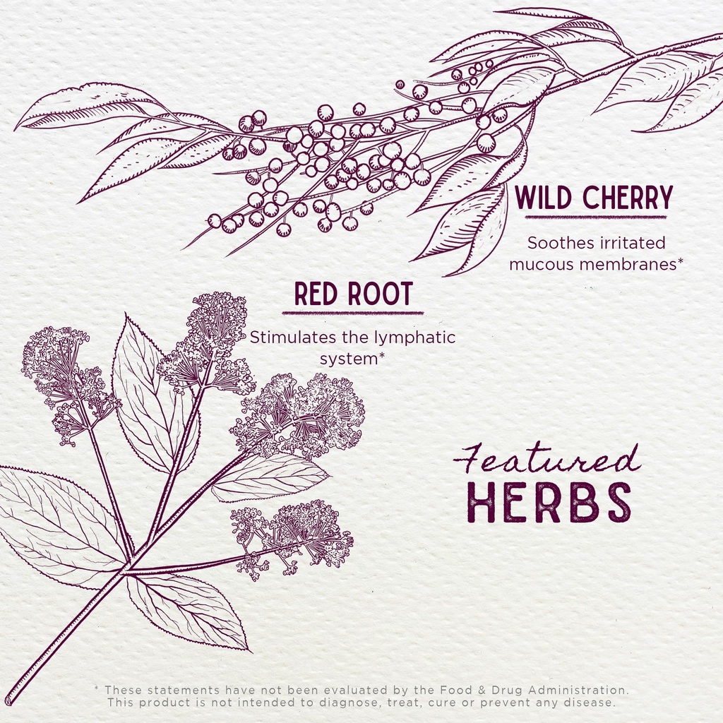 wishgarden-herbs-kick-it-cough-for-kids--4.jpg