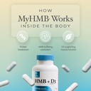 prime-powders-hmb-and-vitamin-d3-supplem-3.jpg