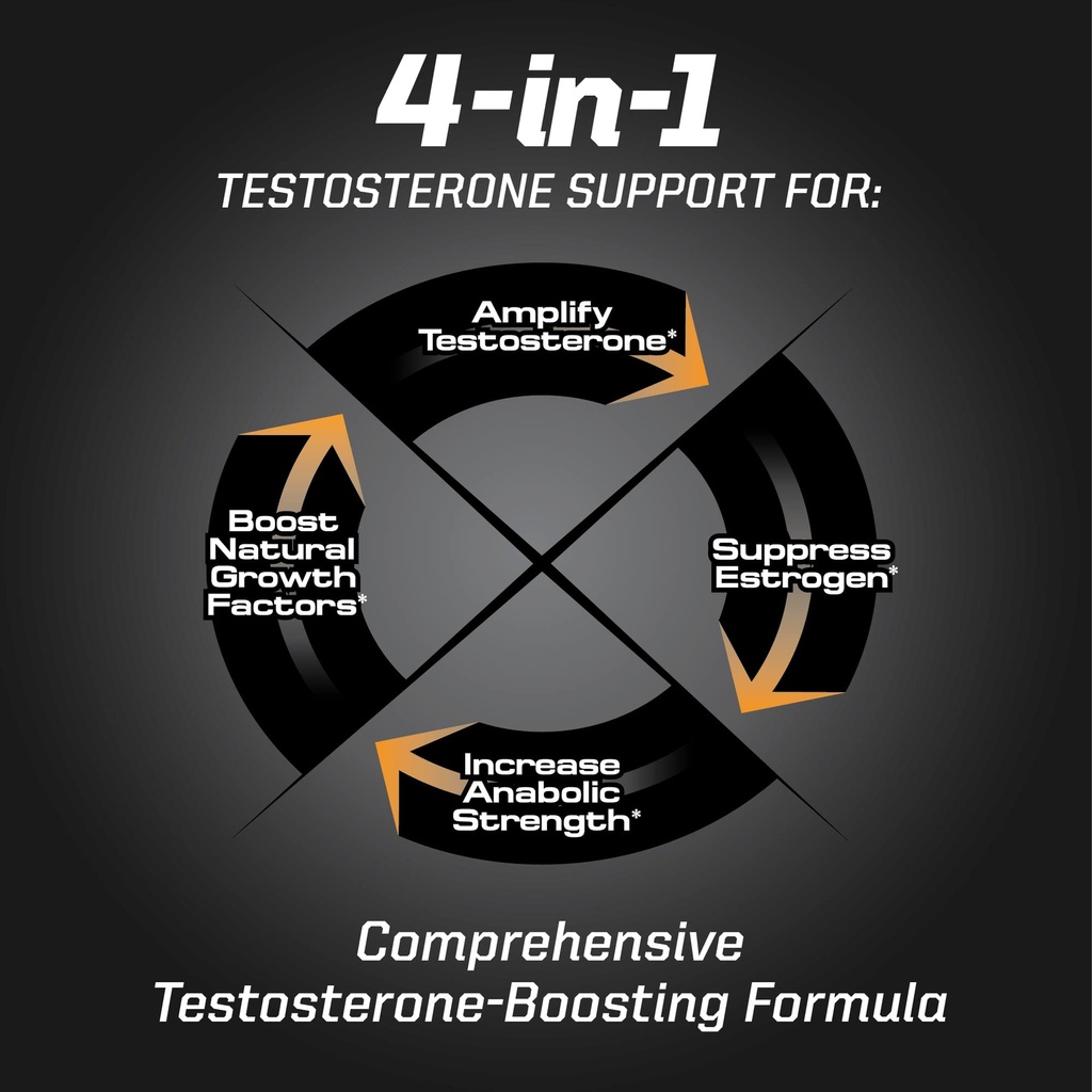 pmd-sports-flex-stack-hardcore-24-hour-h-6.jpg