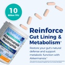 newrhythm-akkermansia-muciniphila-probio-4.jpg