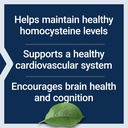 life-extension-homocysteine-resist-veget-4.jpg