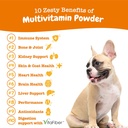 zesty-paws-probiotic-bites-pumpkin-multi-5.jpg