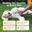 zesty-paws-probiotic-bites-pumpkin-multi-2.jpg