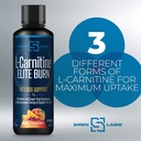 censor-nds-nutrition-fat-loss-body-toner-6.jpg