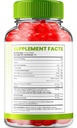 3-pack-super-health-keto-acv-gummies-max-6.jpg
