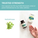himalaya-nsk-sd-nattokinase-dietary-supp-6.jpg