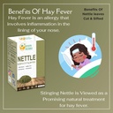 herbs-botanica-nettle-leaf-for-tea-cut-a-4.jpg