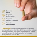 premier-research-labs-cognitropic-brain--4.jpg