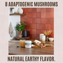 roundhouse-provision-qi-master-adaptogen-3.jpg