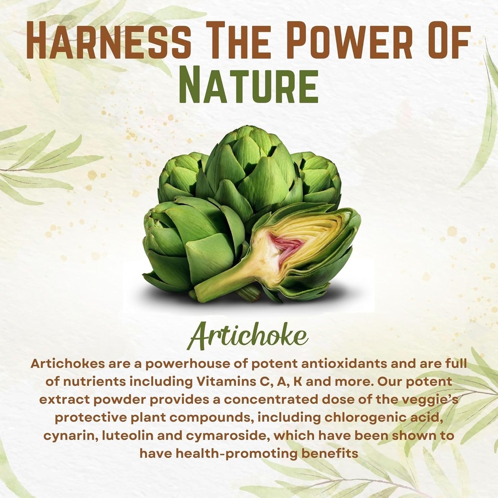 go-nutra-artichoke-extract-powder-potent-2.jpg