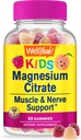 wellyeah-magnesium-citrate-kids-vitamin--2.jpg