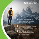 naturesplus-ultra-rx-joint-180-tablets-s-3.jpg