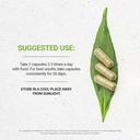 secrets-of-the-tribe-red-root-60-capsule-2.jpg
