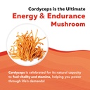 organic-cordyceps-mushroom-extract-70-be-4.jpg