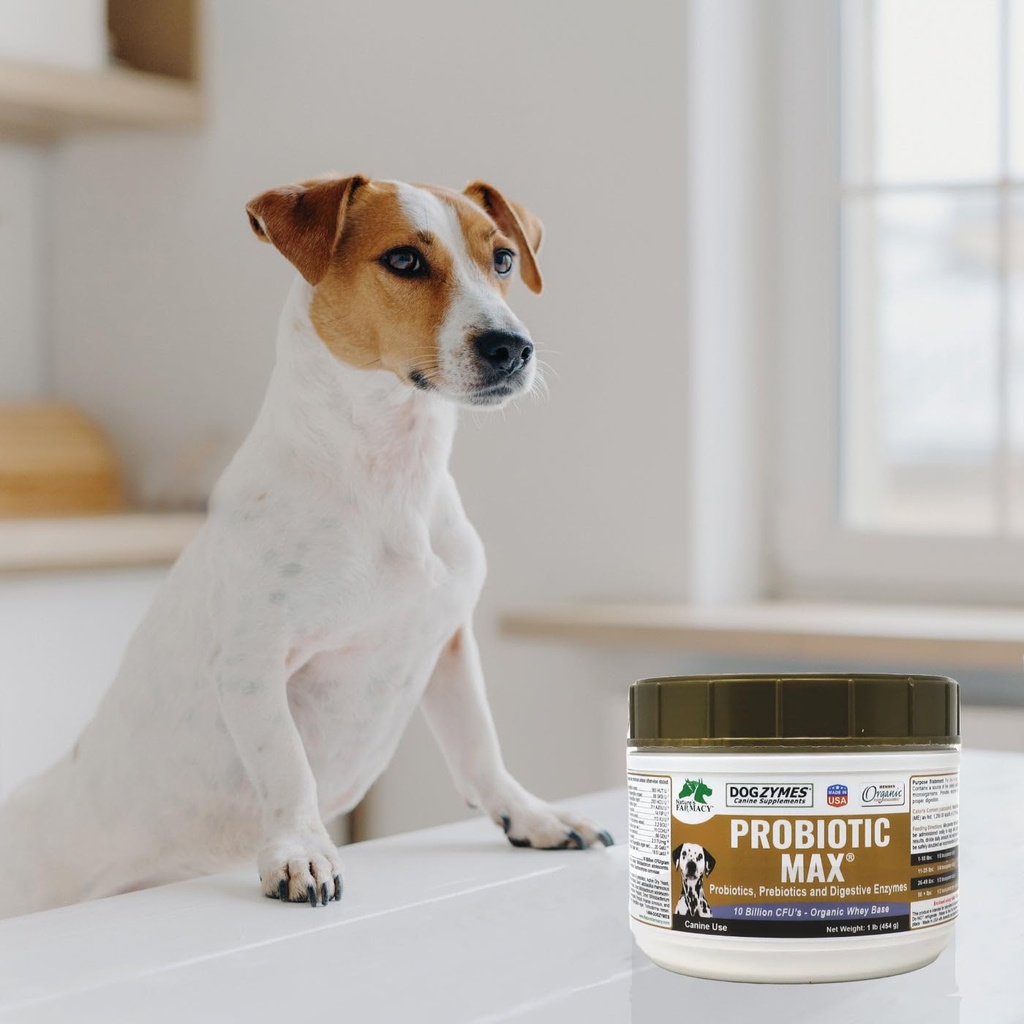 dogzymes-probiotic-max-10-billion-cfu-s--4.jpg
