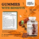 wild-organic-mushroom-gummies---lions-ma-3.jpg
