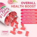 sugar-free-coq10-gummies-250mg-coenzyme--3.jpg