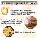 women-s-health-probiotic-gummies-vegan-p-4.jpg
