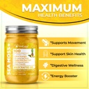 wellness-labsrx-irish-sea-moss-gel-raw-w-5.jpg