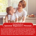 liposomal-magnesium-threonate-high-poten-6.jpg