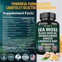 strongvit-sea-moss-complex-nad-supplemen-2.jpg