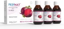 Nitric Oxide Boost Supplement (60 Servierungen) Red Beet Root Juice Powder Extract Non-GMO Superfood