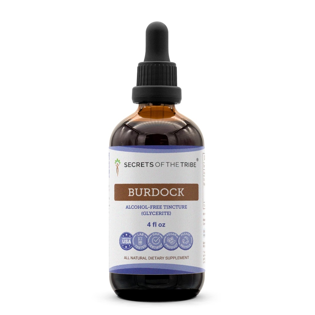 Segreti della Tribe Burdock Tincture Alcohol-Free Liquid Extract, Burdock (Arctium Lappa) Dried Root 4 FL OZ