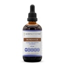 Geheimnisse des Tribe Burdock Tincture Alcohol-Free Liquid Extract, Burdock (Arctium Lappa) Getrocknet Root 4 FL OZ