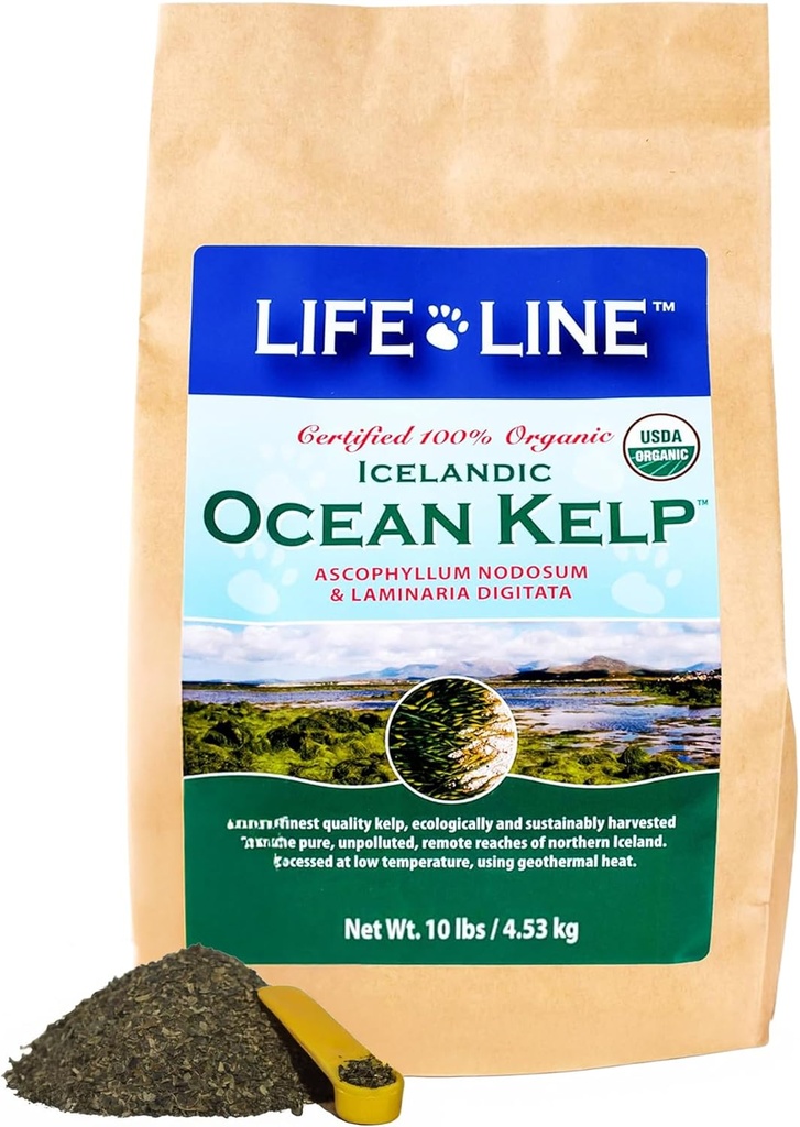 Linea di vita Canister organico oceanico Kelp per gatti, cani, bestiame e cavalli | Supporta pelle, cappotto e salute immunitaria – Riduce Tartar, Plaque & Shedding – Aumenta il metabolismo e aiuta la digestione -10 lb