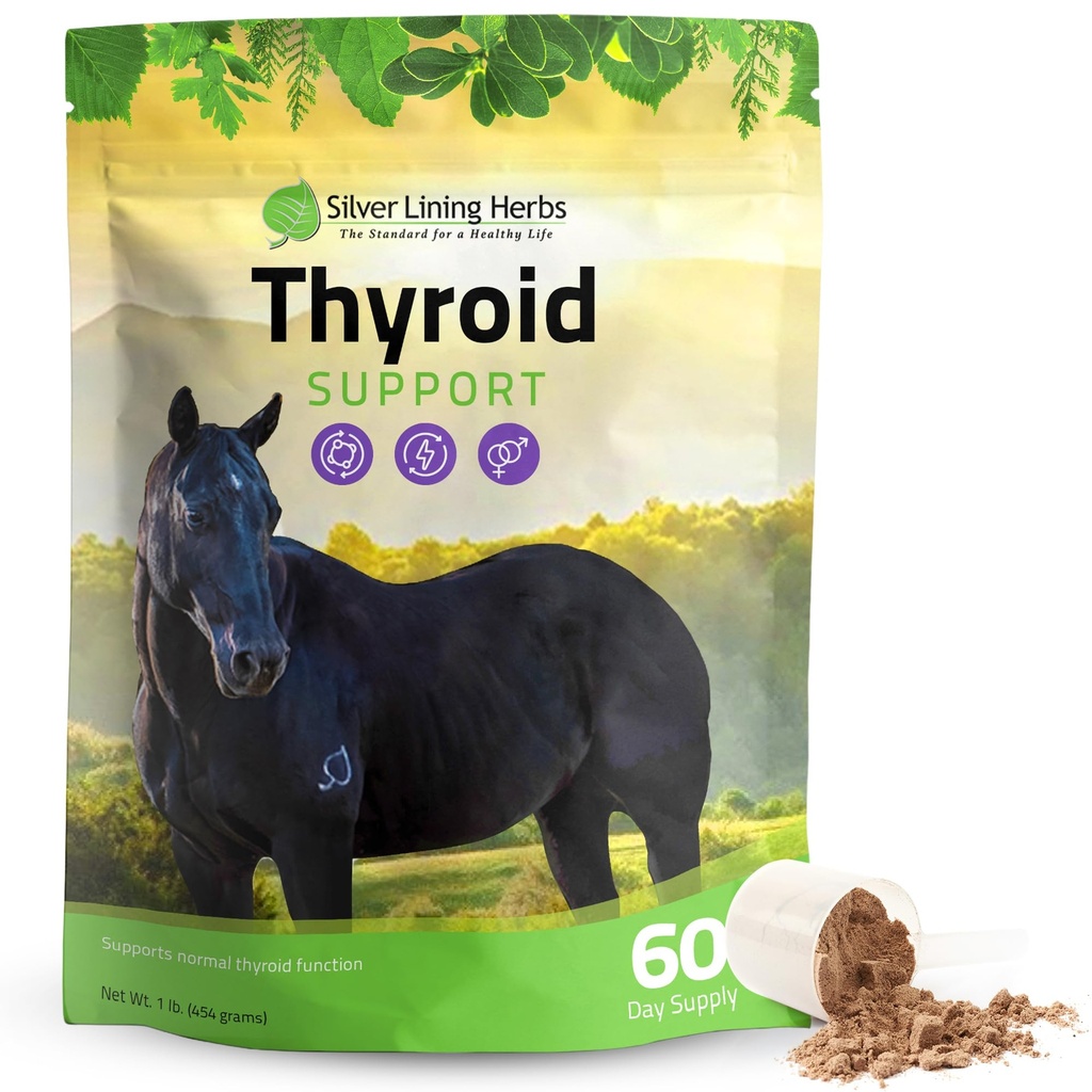 Silver Lining Herbs supporto tiroideo per cavalli – Integratore di cavalli erbe per la funzione tiroide normale, equilibrio di ormone e metabolismo sano con muschio irlandese, Kelp, Parsley – alimentazione di 120 giorni