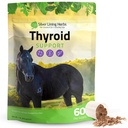 Support Thyroïde pour Chevaux – supplément Cheval Herbal pour la fonction normale de thyroïde, équilibre hormonal et métabolisme sain avec la mousse irlandaise, Kelp, persil – 120 jours d'approvisionnement
