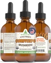 RawGuru Cordyceps Supplément de champignons - Extrait végétalien Cordyceps avec des minéraux traces - Nano-processed Immunity Boost & Cognitive Supplement Teinture - 60 portions de gouttes végétaliennes par 60 ml, boîte de 1
